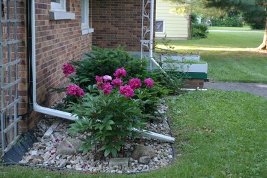 SAM_0736
