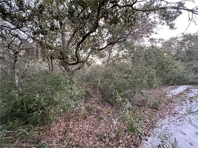 206 Rhythm Dr, Lake Placid, FL 33852 - photo 4