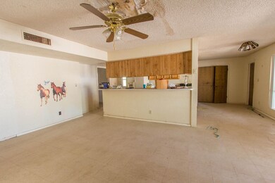 Main Kitchen & Living Rm
