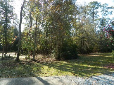 0 Old Landing Rd, Covington, LA 70433 - photo 4