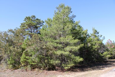 0 Overton Dr, Chipley, FL 32428 - photo 4