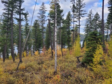 NHN, Bigfork, MT 59911 - photo 6