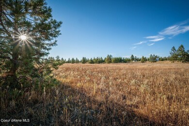 NNA Arden Ln Lot 2, Athol, ID 83801 - photo 7