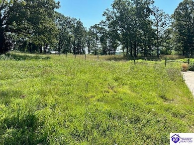 TRACTS 2,3,4,5 Copelin Rd, Sonora, KY 42776 - photo 6