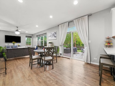 210 Woodford Rd, Oswego, IL 60543 - photo 7