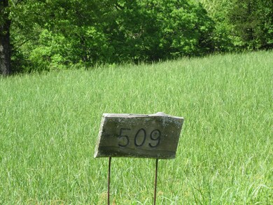 Lot 509 Forest View Saddlebrooke MO