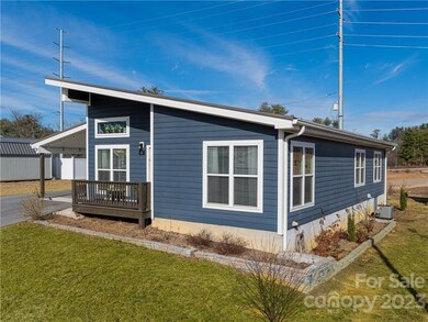 61 Strick Garden Ln, Hendersonville, NC 28792 - photo 3