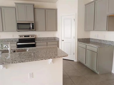 13372 Golden Lime Ave, Spring Hill, FL 34609 - photo 6