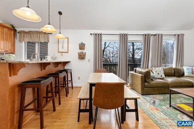 448 Three Ridges Condos, Wintergreen Resort, VA 22967 - photo 7