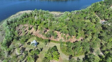 0 Xxx E Cypress Dr unit LotWP001, Donalsonville, GA 39845 - photo 4