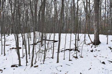 Lot 725 Locust Dr, Dingman Township, PA 18337 - photo 3