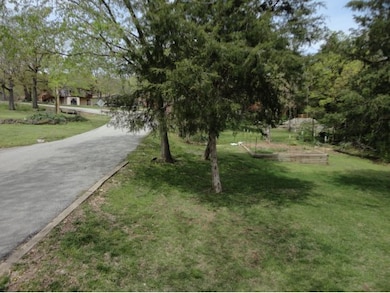 3 Maple Ln, Kimberling City, MO 65686 - photo 5