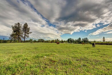green landscape