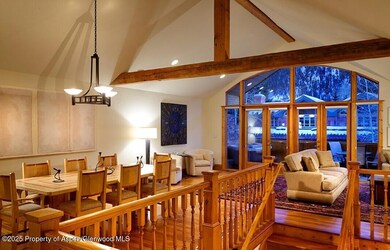 835 E Cooper Ave unit 4, Aspen, CO 81611 - photo 4