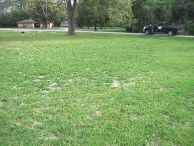 217 High St, Brazoria, TX 77422 - photo 6