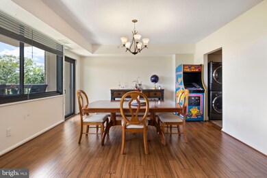 Skyline House unit 402W, Baileys Crossroads, VA 22041 - photo 7