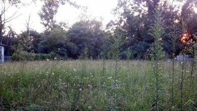 2909 Gardner Ave, Tyler, TX 75701 - photo 2