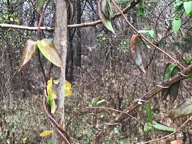 10200 Bardstown Rd, Louisville, KY 40291 - photo 4