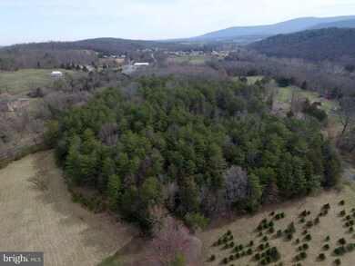 0 Quail Hollow Rd unit 1001809426, Bentonville, VA 22610 - photo 5