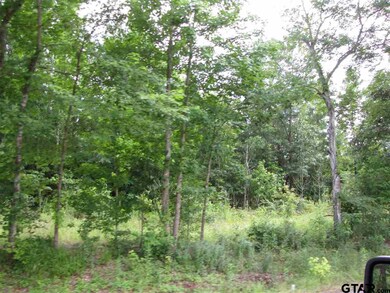 20312 Fm 850, Arp, TX 75750 - photo 2