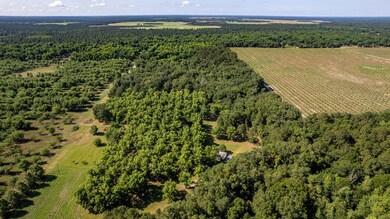 4309 Jimmy Goff Ct, Albany, GA 31705 - photo 5