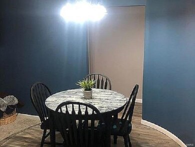 1101 W Ogara St, Harrisburg, IL 62946 - photo 2