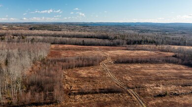 Alexander Acreage - Billy Howard (7 of 4