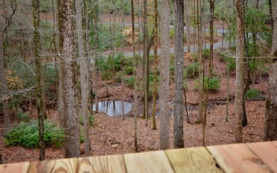 Additional View
