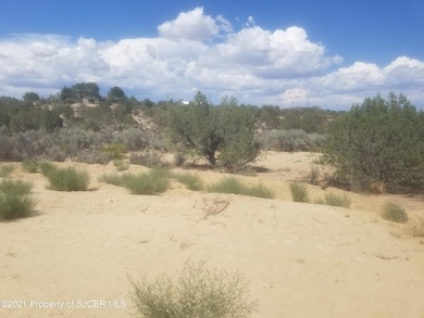 5302 Marcy Place, Farmington, NM 87402 - photo 2