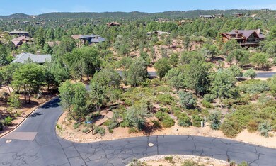 DJI_0973