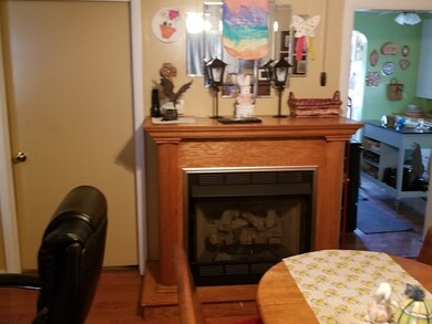 355 Chestnut St, Marion, OH 43302 - photo 6