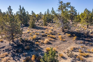 0 Pronghorn Estates Dr unit Lot 31 220201003, Bend, OR 97701 - photo 6