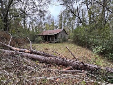 00 Coons Mill Rd, Centreville, MS 39631 - photo 5