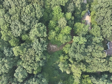 Frushour Dr Lot unit WP001, Holly, MI 48442 - photo 3