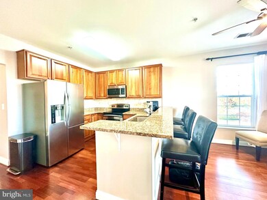 5930 Great Star Dr unit 402, Clarksville, MD 21029 - photo 6