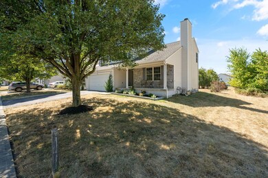 46-web-or-mls-DSC00372