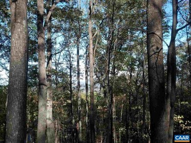 1450 Crawfords Climb unit RODES VALLEY FOOTHIL, Nellysford, VA 22958 - photo 7