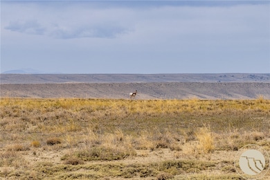 TBD Hwy 310, Bridger, MT 59104 - photo 3
