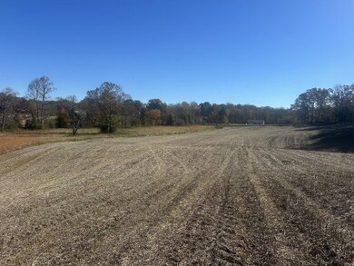 0 Old Kentucky Rd, Sparta, TN 38583 - photo 3