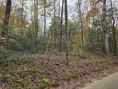 R22961 County Road 2150, Colmesneil, TX 75979 - photo 4