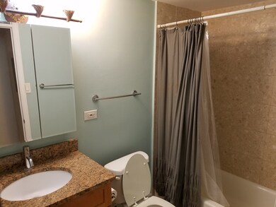 4180 N Marine Dr unit 601, Chicago, IL 60613 - photo 6