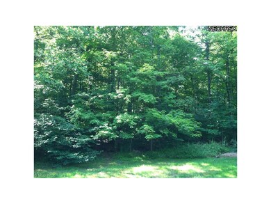 Rear yard view from house