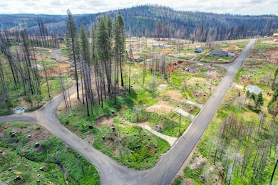 5136 Evergreen, Grizzly Flats, CA 95636 - photo 4