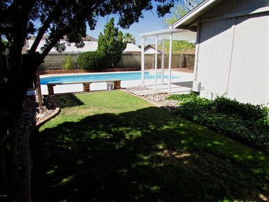 Grass side yard