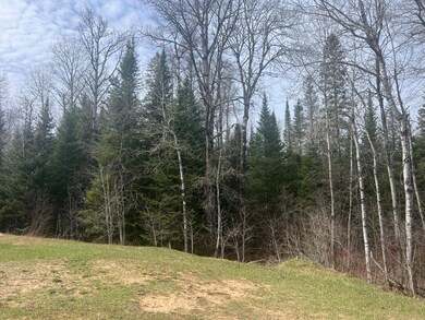 Mixed woods