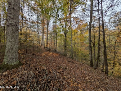 PXL_20251103_201446292