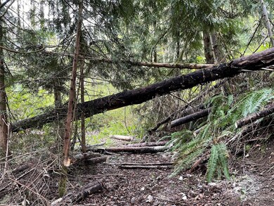 2800 Freestad Rd, Stanwood, WA 98292 - photo 4