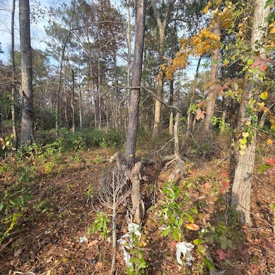 616 McCown Dr, Conway, SC 29526 - photo 6