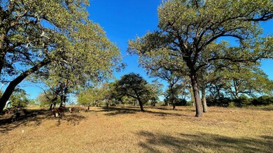 9201 Fm 2096 (+ -44 13 Acres), Franklin, TX 77856 - photo 5