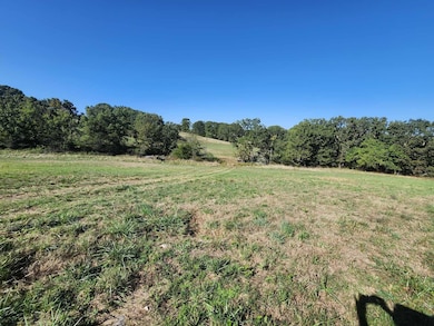 000 N Highway 95, Mountain Grove, MO 65711 - photo 5